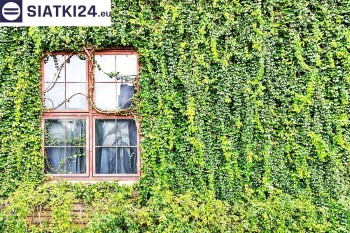 Siatki Skwierzyna - Siatka z dużym oczkiem - wsparcie dla roślin pnących na altance, domu i garażu dla terenów Skwierzyny