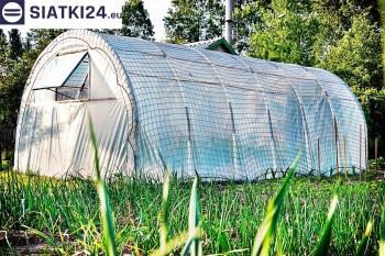 Siatki Skwierzyna - Zabezpieczenie foli na tunelu dla uprawy warzyw przed wiatrem dla terenów Skwierzyny
